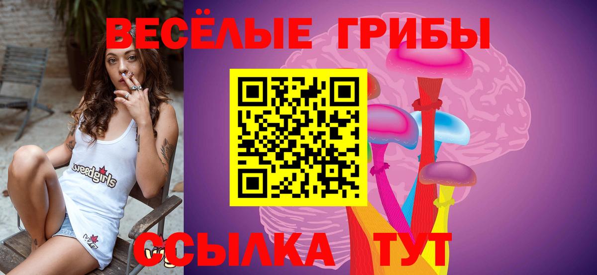 Галлюциногенные грибы Psilocybe Миасс