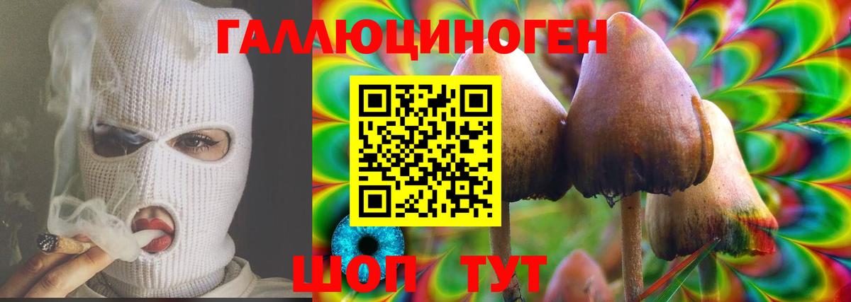 Галлюциногенные грибы GOLDEN TEACHER  Вход с VPN  Миасс 